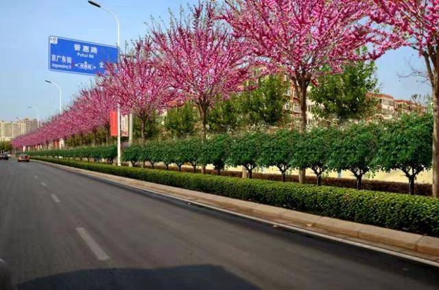 接下来,石家庄将全是6464646464