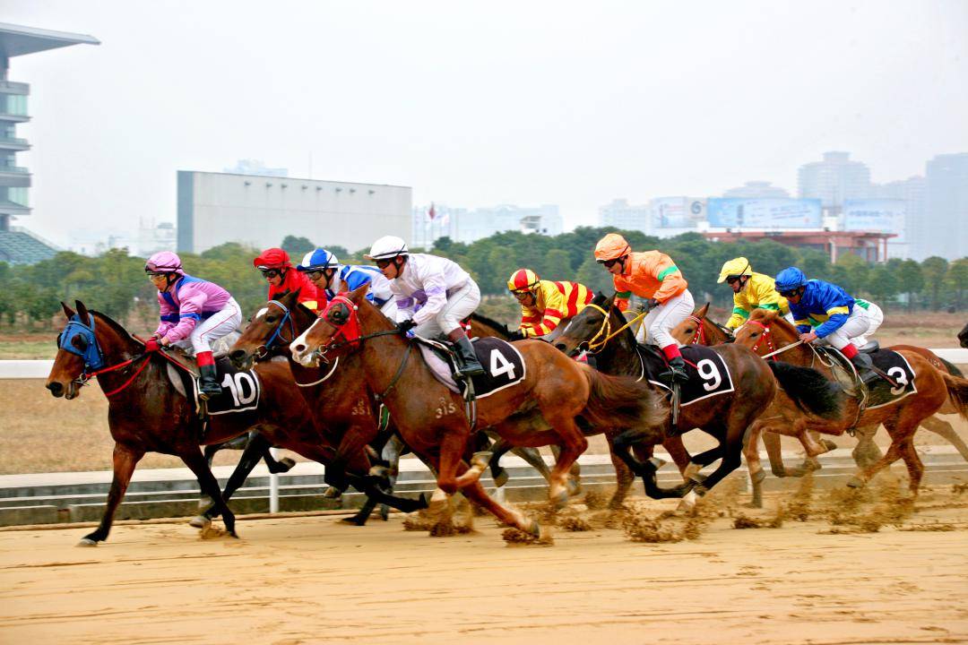 中国速度赛马大奖赛,一次中国速度赛马的大检阅