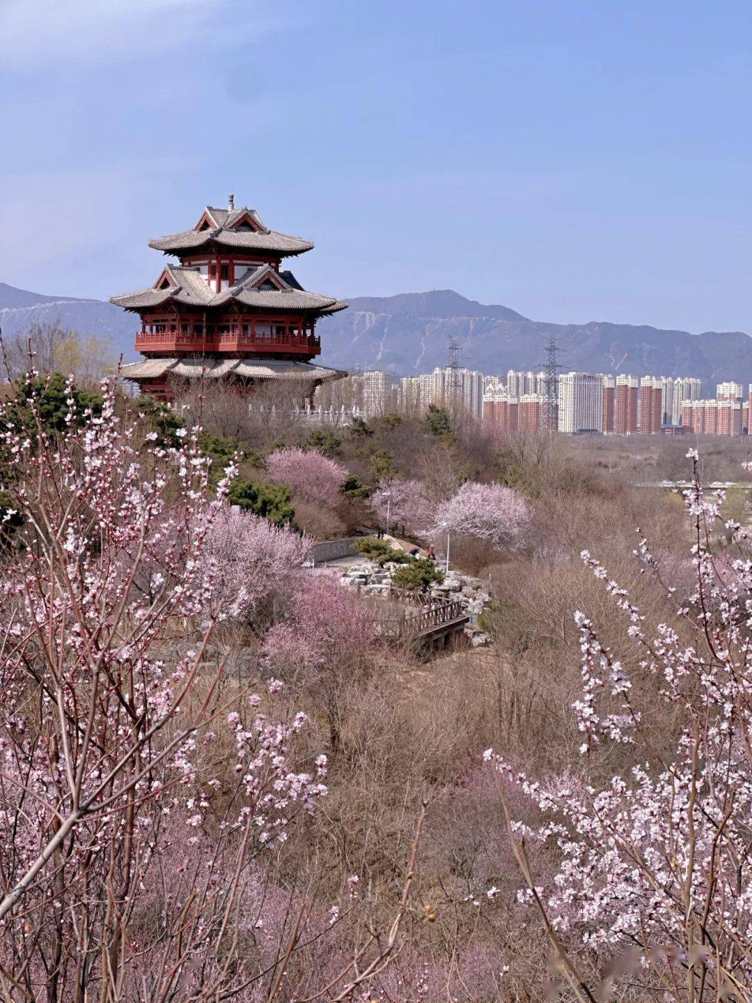 房山桃花谷图片