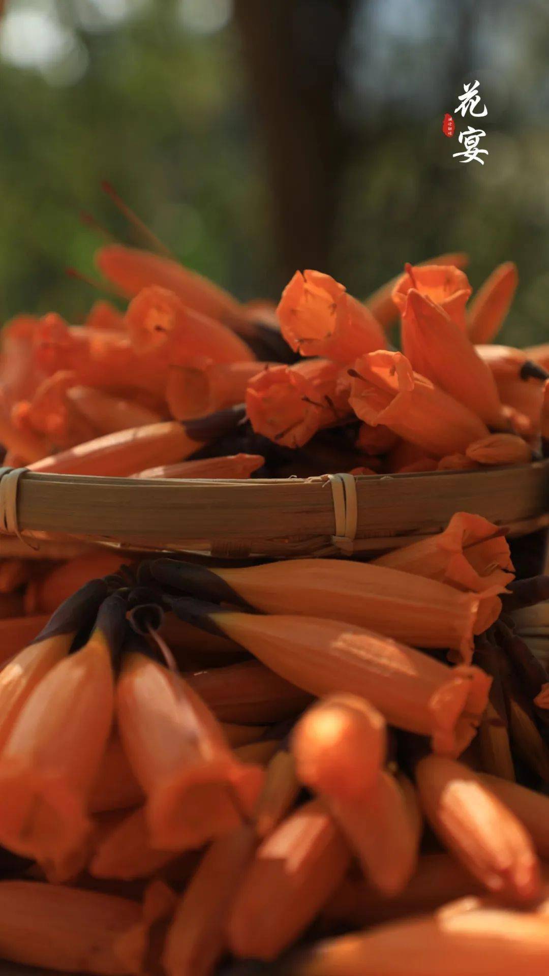 所谓花宴就是要把云南的春天一整个搬上餐桌