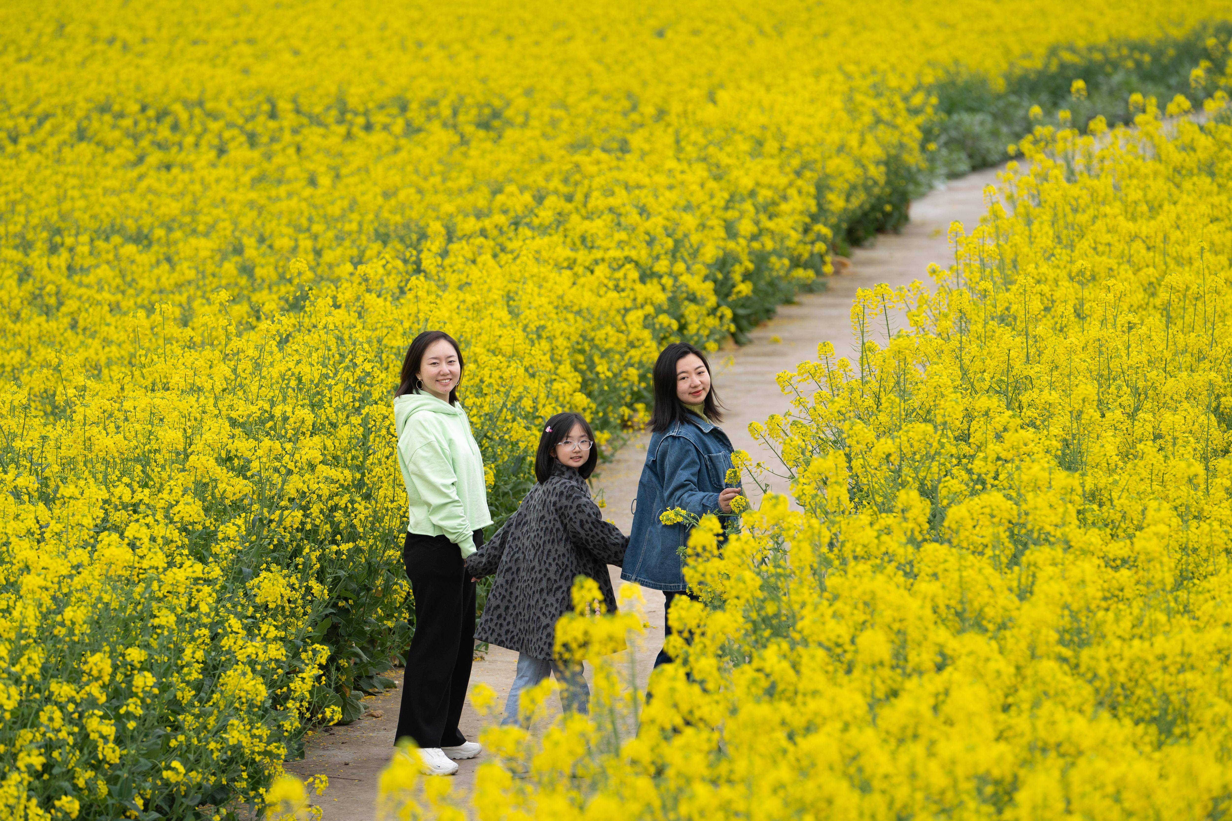 3月17日,在四川省绵阳市安州区秀水镇,游客在油菜花海中游玩