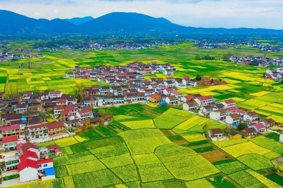 赏春日美景今晚1930汉中将亮相cctv4中国舆论场