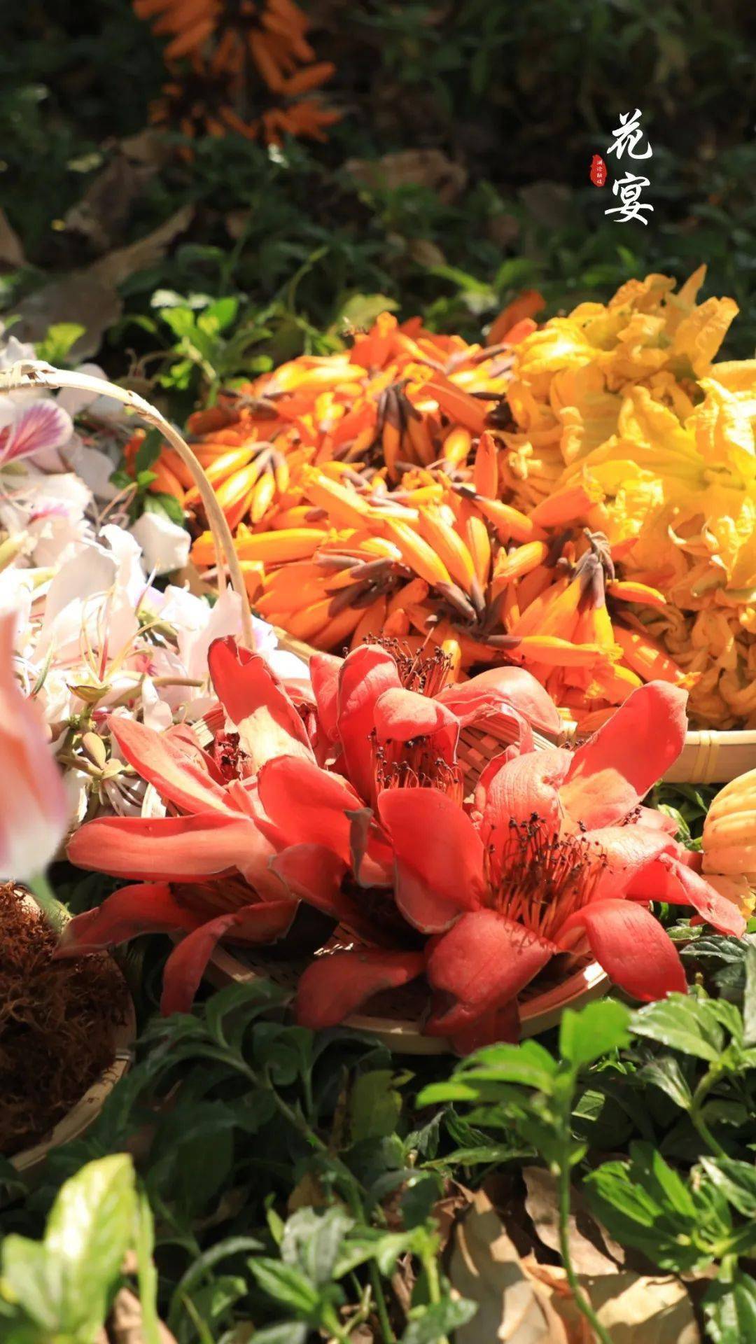 所谓花宴就是要把云南的春天一整个搬上餐桌