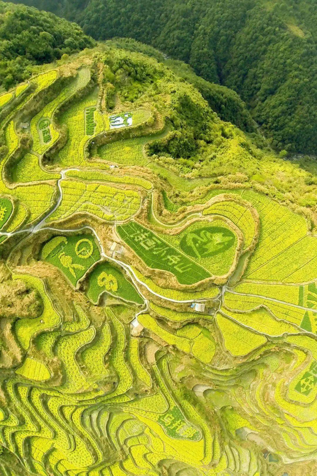 在青田,有一个美丽的山乡名叫小舟山.
