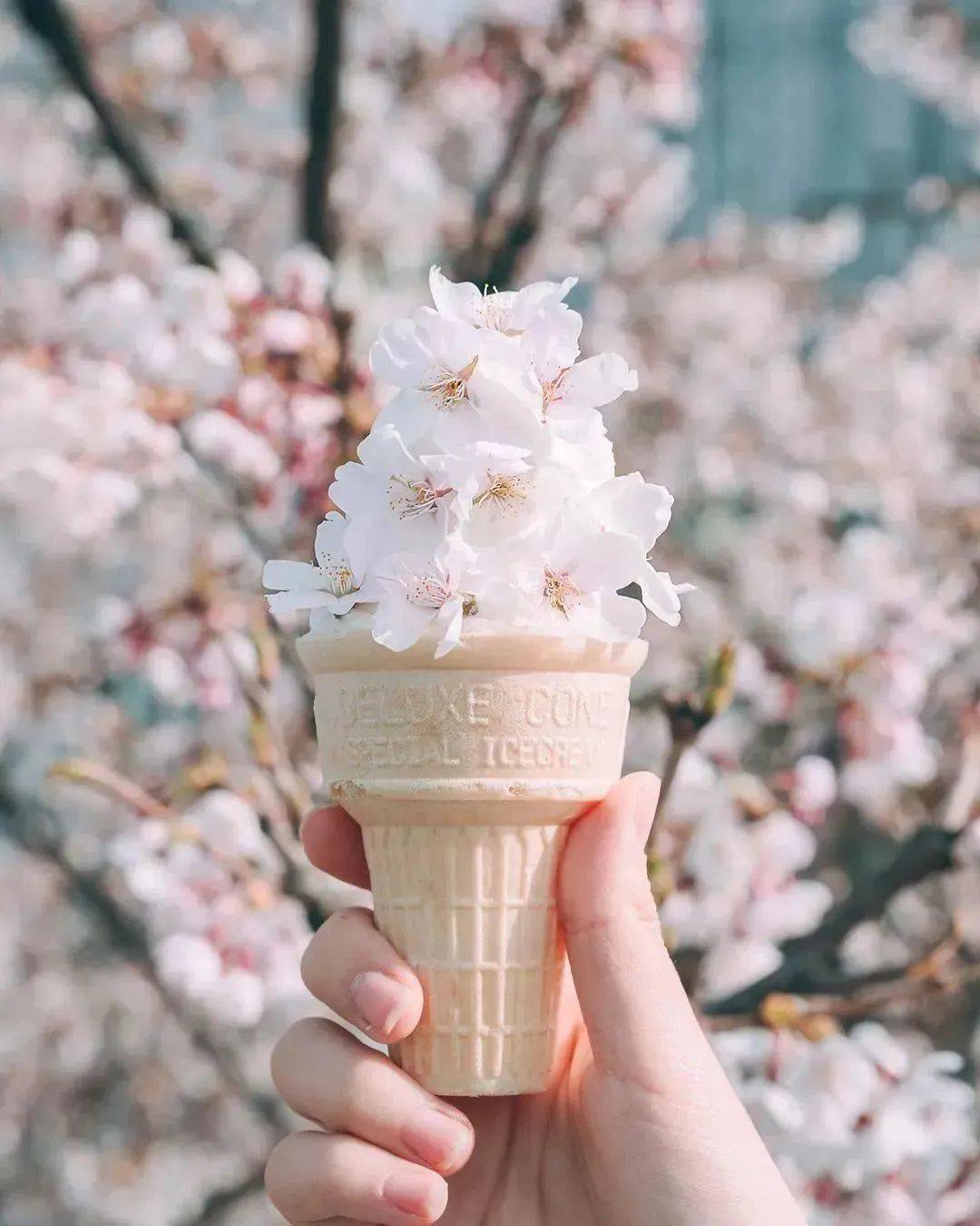 100 种捧花拍照姿势,承包你的春日头像!