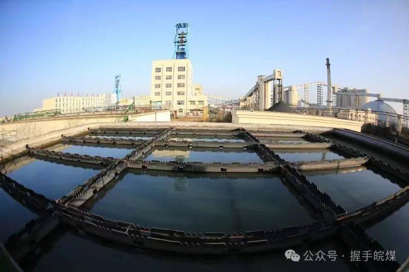 逐绿前行以绿生金