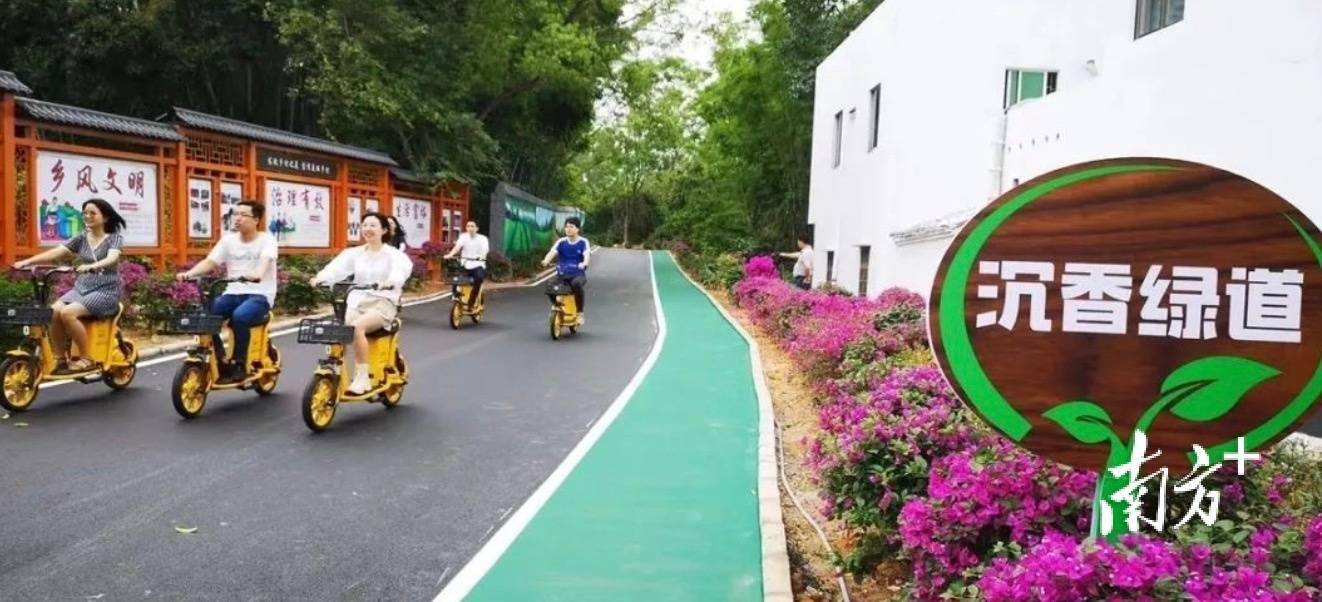 电白打造乡村房车游ip目的地,助力乡村振兴_沙琅镇