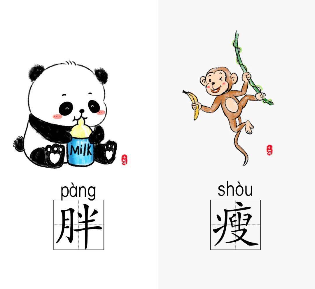给幼儿园小朋友的反义词图鉴