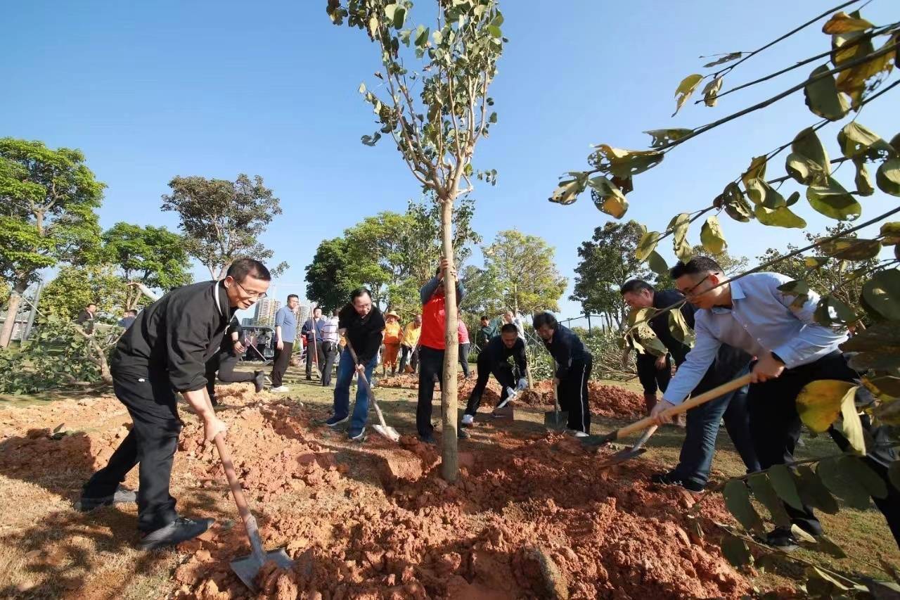 边种树边造城跑出建设加速度滨海湾一周聚焦