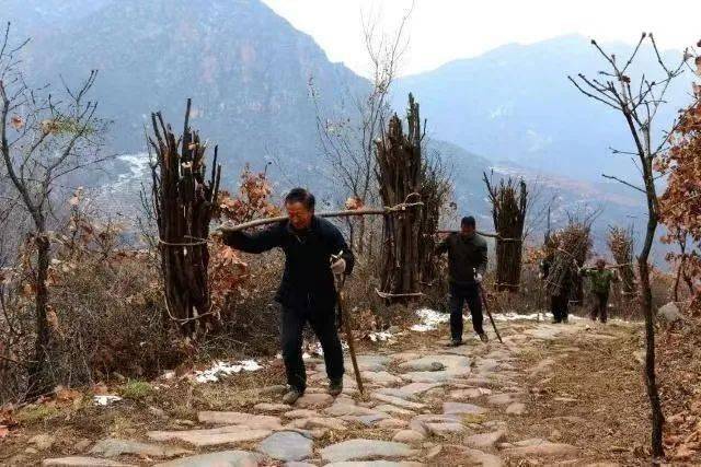 叶炎擒柴原载中国作家网