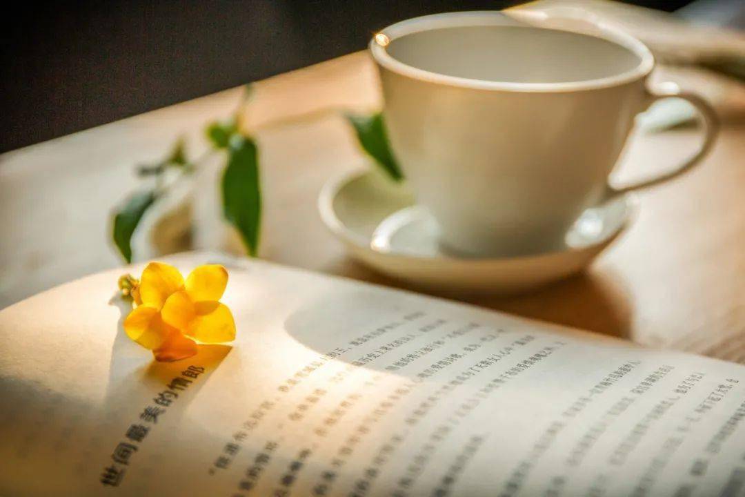 情商最低的3句话永远不要说