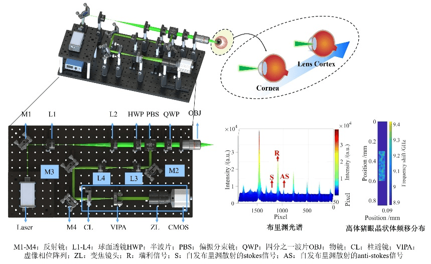 激光与光电子学进展创刊六十周年特辑③