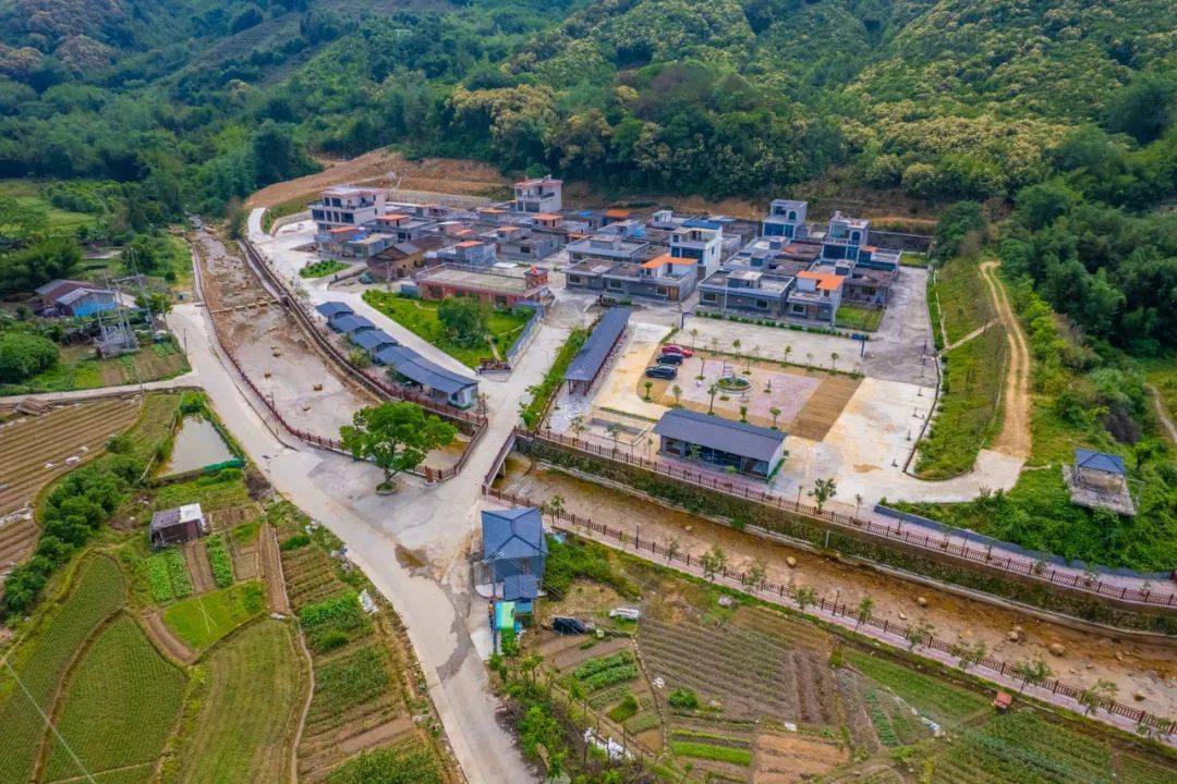 大站镇樟滩村青年助力乡村振兴新典型筑巢引凤谋发展