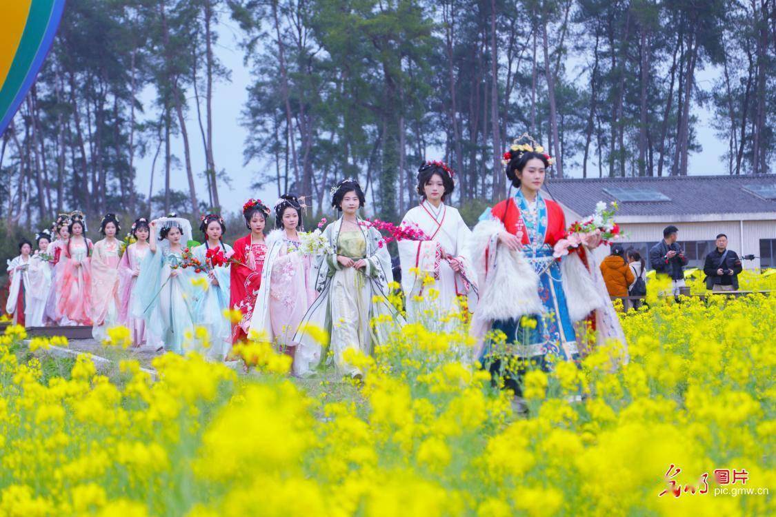 2024年3月7日,江西省抚州市灵谷峰景区樱花绽放,春色迷人.