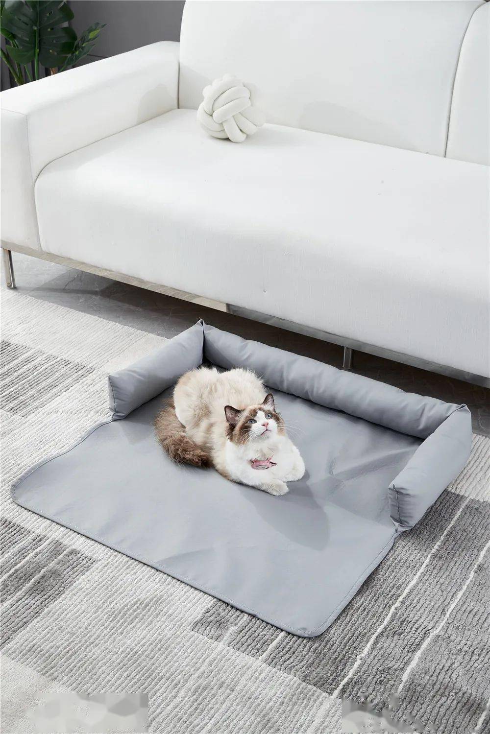 科技布宠物沙发垫,彰显毛孩子的专属座位_fuwmddawh_xejsgb_tk