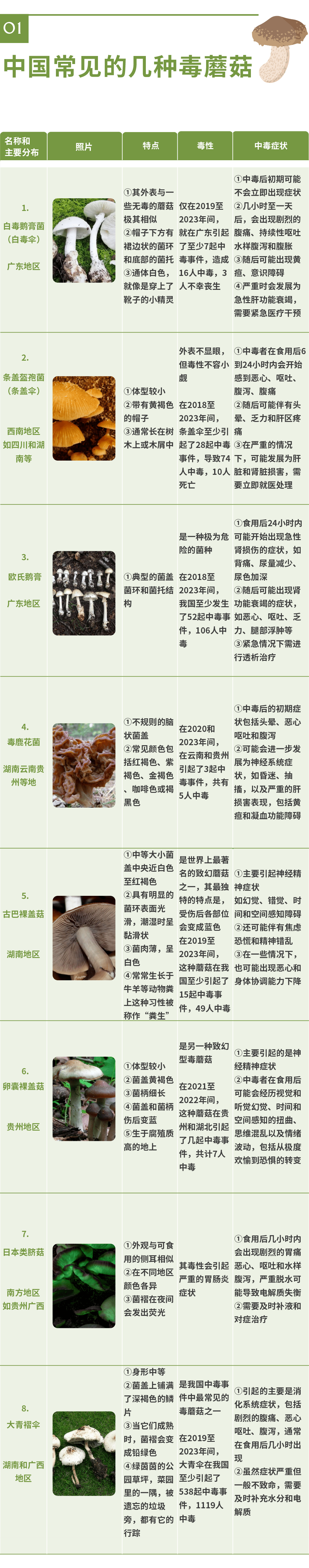 太图百科▏春天来了毒蘑菇无处不在快来认识一下它们