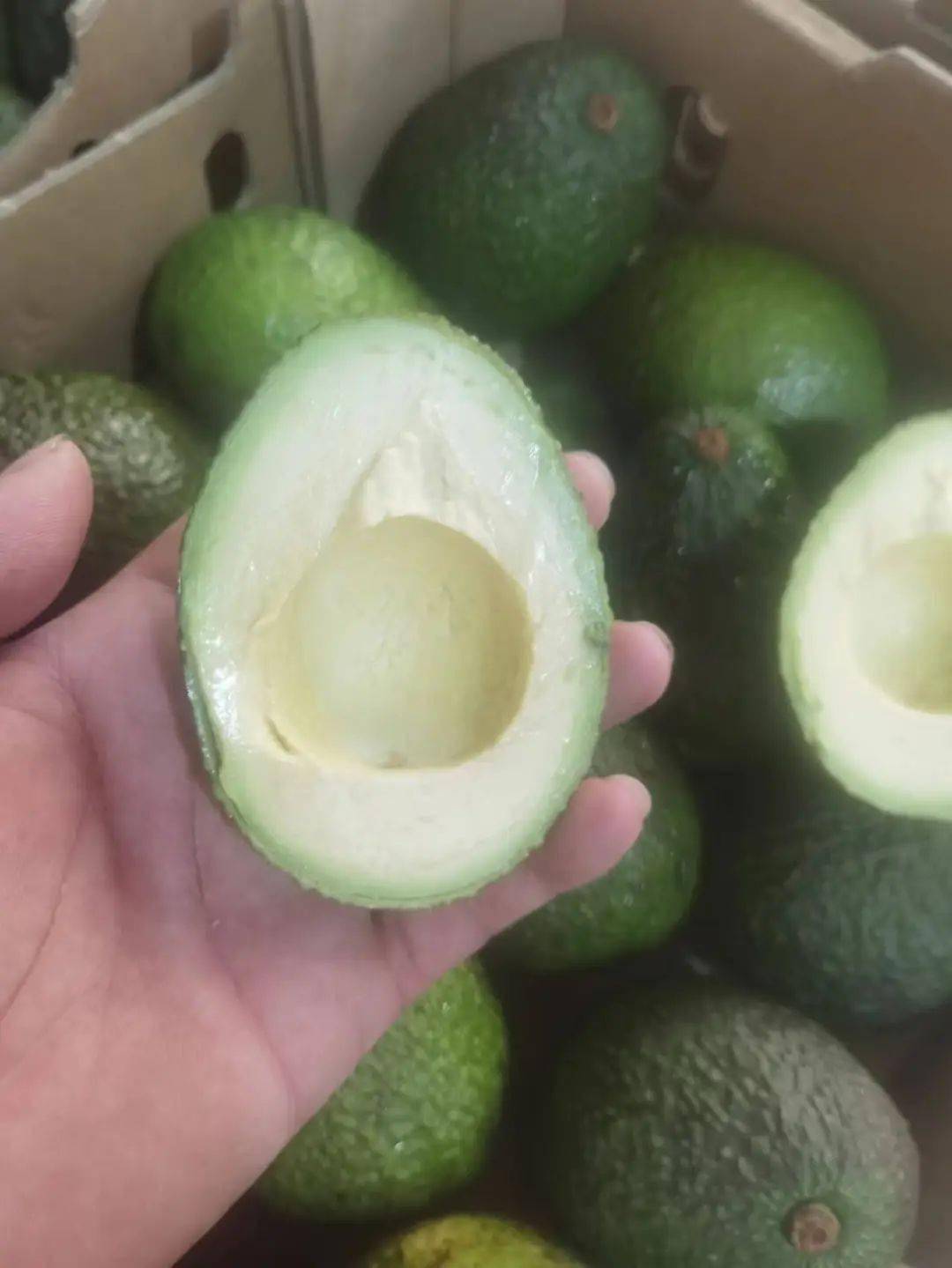 【墨西哥/秘鲁进口牛油果】限时29.9秒8个!含有不饱和脂肪酸和膳食纤