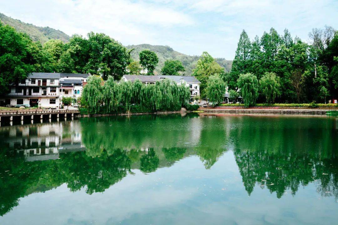 春分至,临安邀您上春山!_玲珑山_狮子山_公园