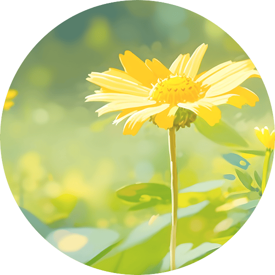 今日春分 未来阳光很给力!