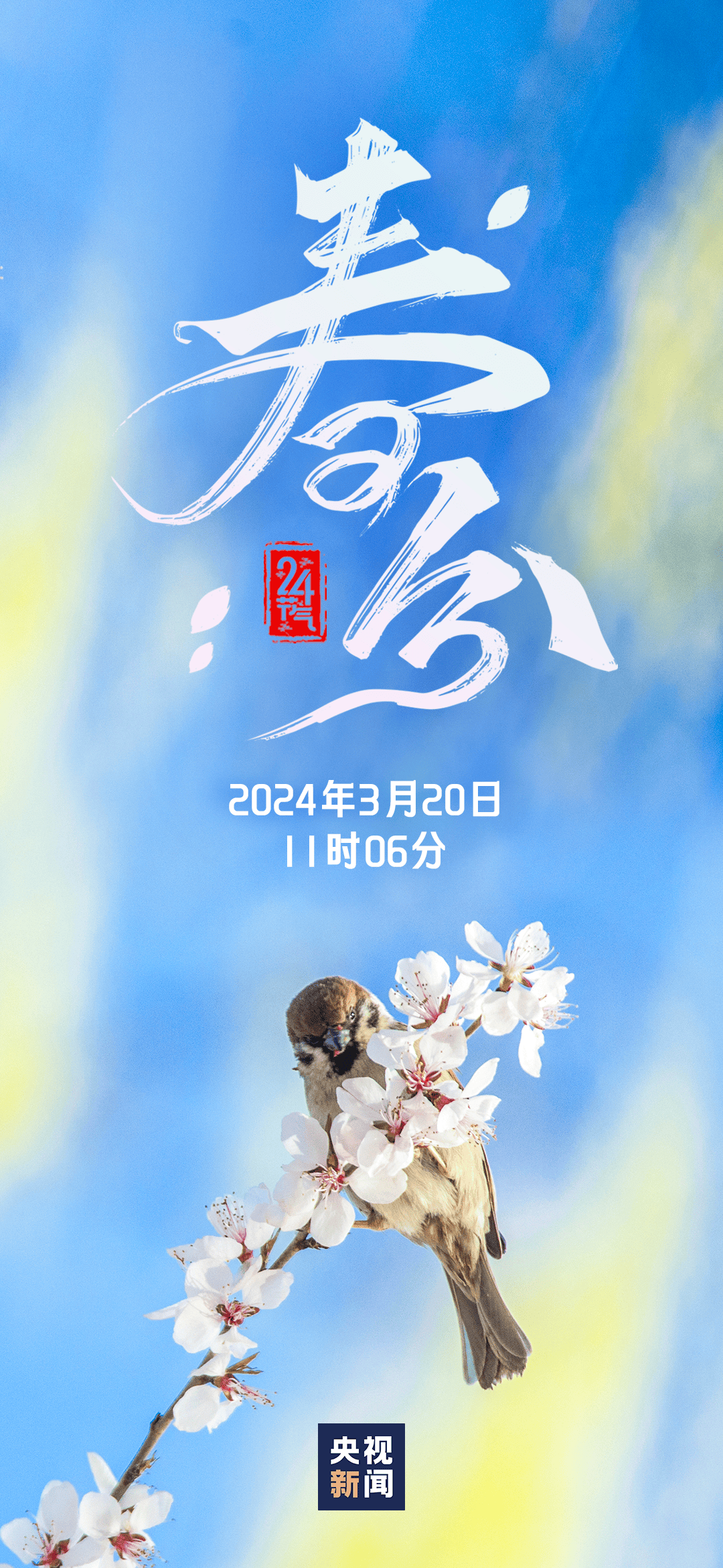 今日春分丨人间万物皆恰好 莫负春光莫负卿_镇安_安融媒_新闻