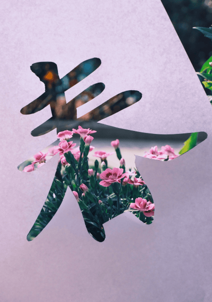 今日春分春天的西湖校园童趣盎然