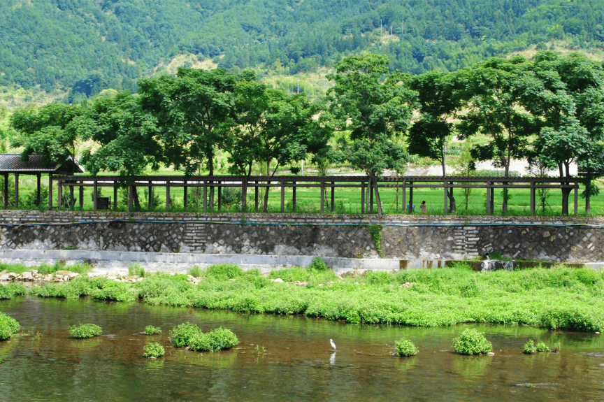 行走山海间丨私藏的2条路线带你玩转春天的公路