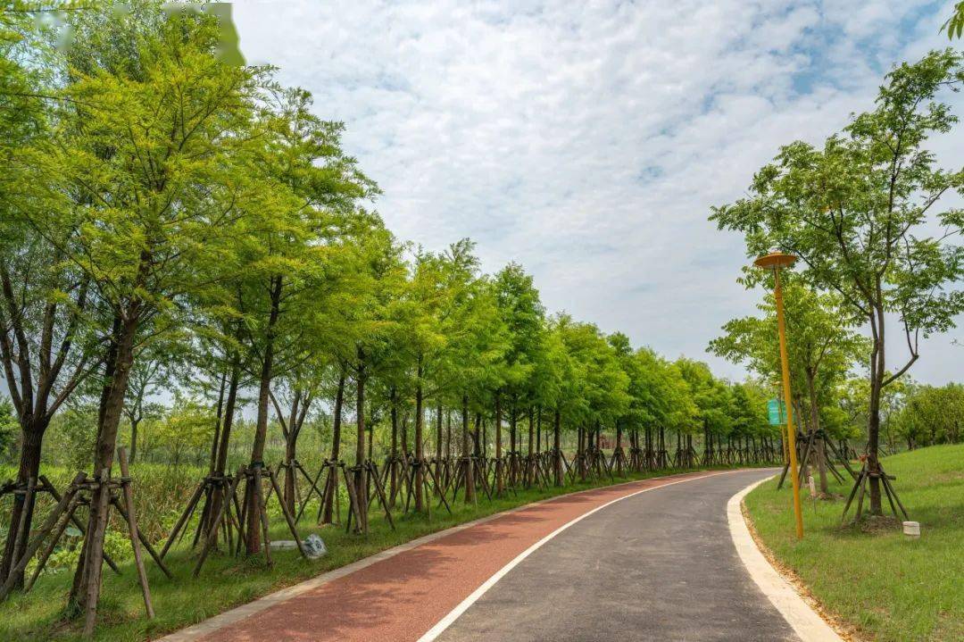 奉城公园于2017年建成,公园总面积18.26公顷.