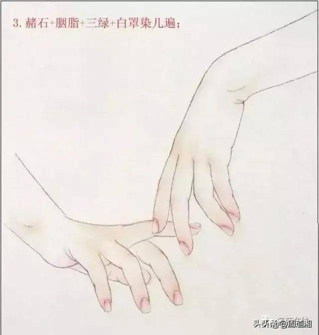 染手部时尤其要注意结构,指尖,指腹处用曙红染圆有色,骨节点用色偏冷