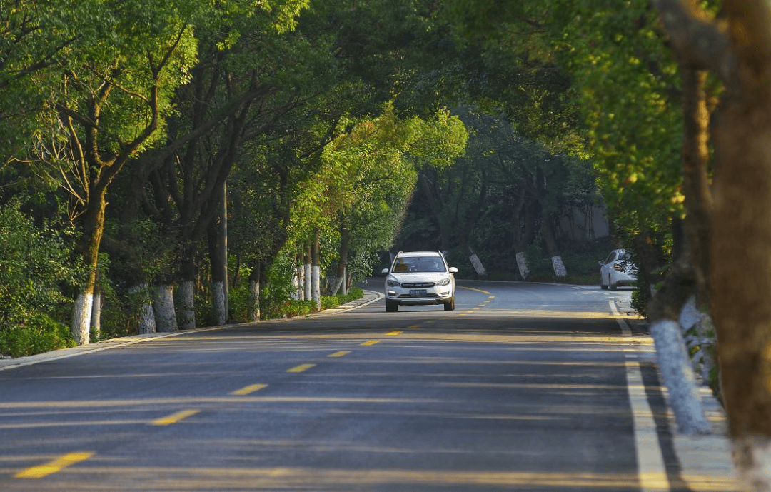 农村致富门路有哪些(农村致富门路什么项目好?)