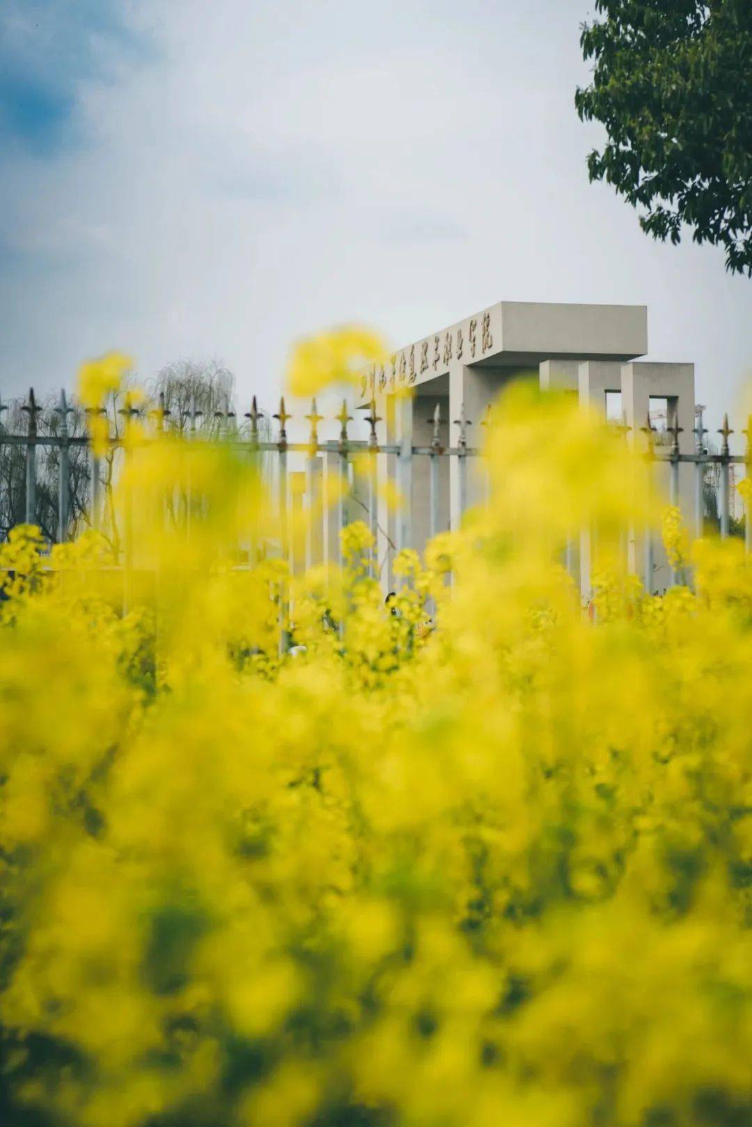 是时候了给你们看看希望教育的花花世界