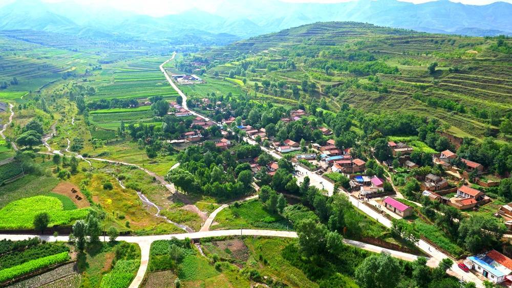 宁夏又添两个"四好农村路"全国示范县_管理_保障_发展