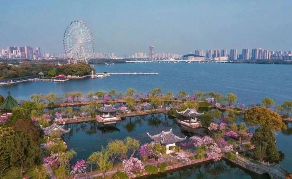 石塘桥——长广溪湿地公园(古银杏广场)——宝界公园——鼋头渚风景区