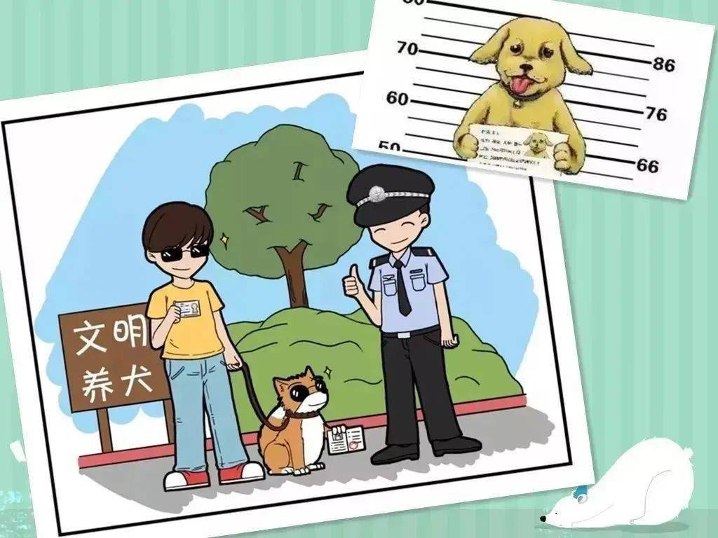 文明养犬,遛狗"不掉链"!请转发这些文明养犬知识!_识别_侵权_出处
