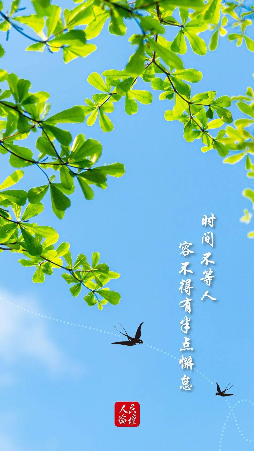 节气里的大美中国今日春分读懂二十四节气里的中国时间