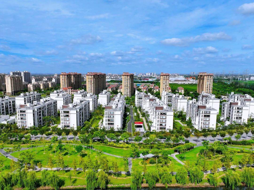 奉城镇去奉城春日踏青出发