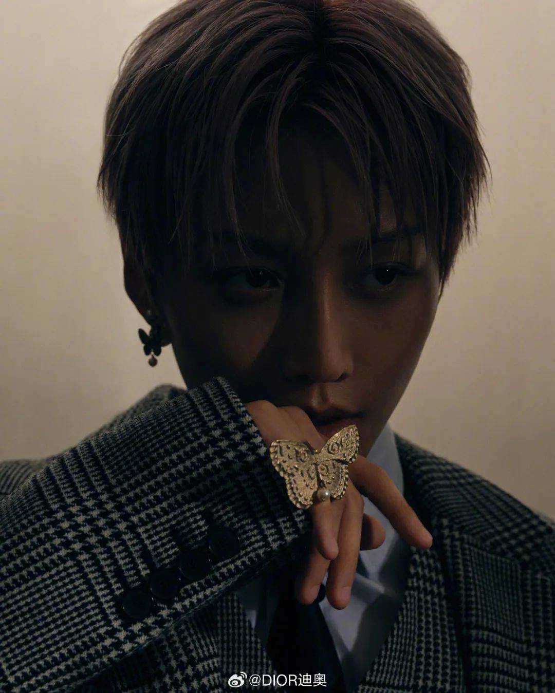 说腮红克夫我无所畏惧说蝴蝶招财我一顿狂买