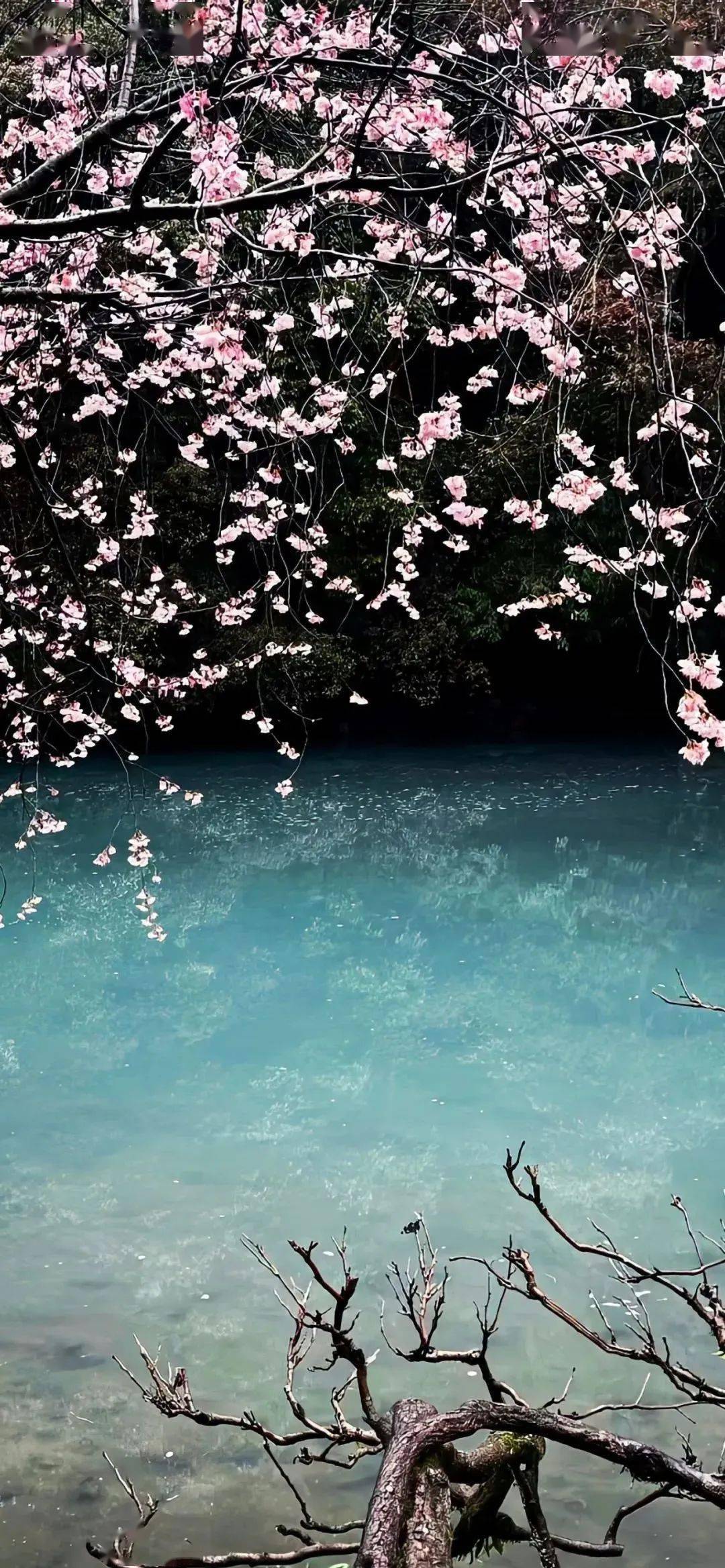 壁纸i你的iphone壁纸该换了