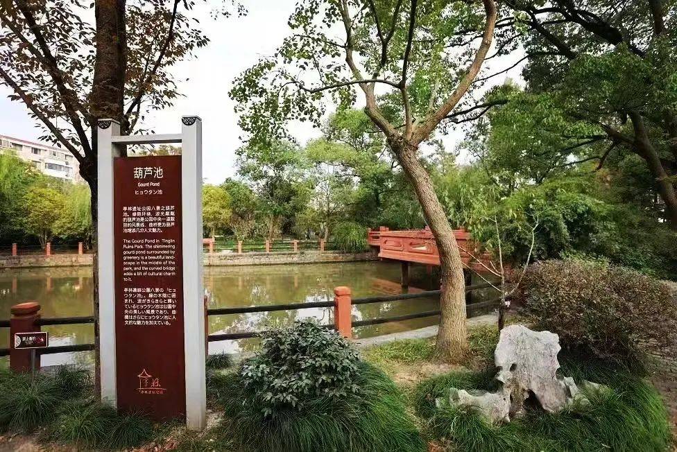 五彩花海,文化古迹……春日亭林,好玩到不想回家!_活动_菜花_公园