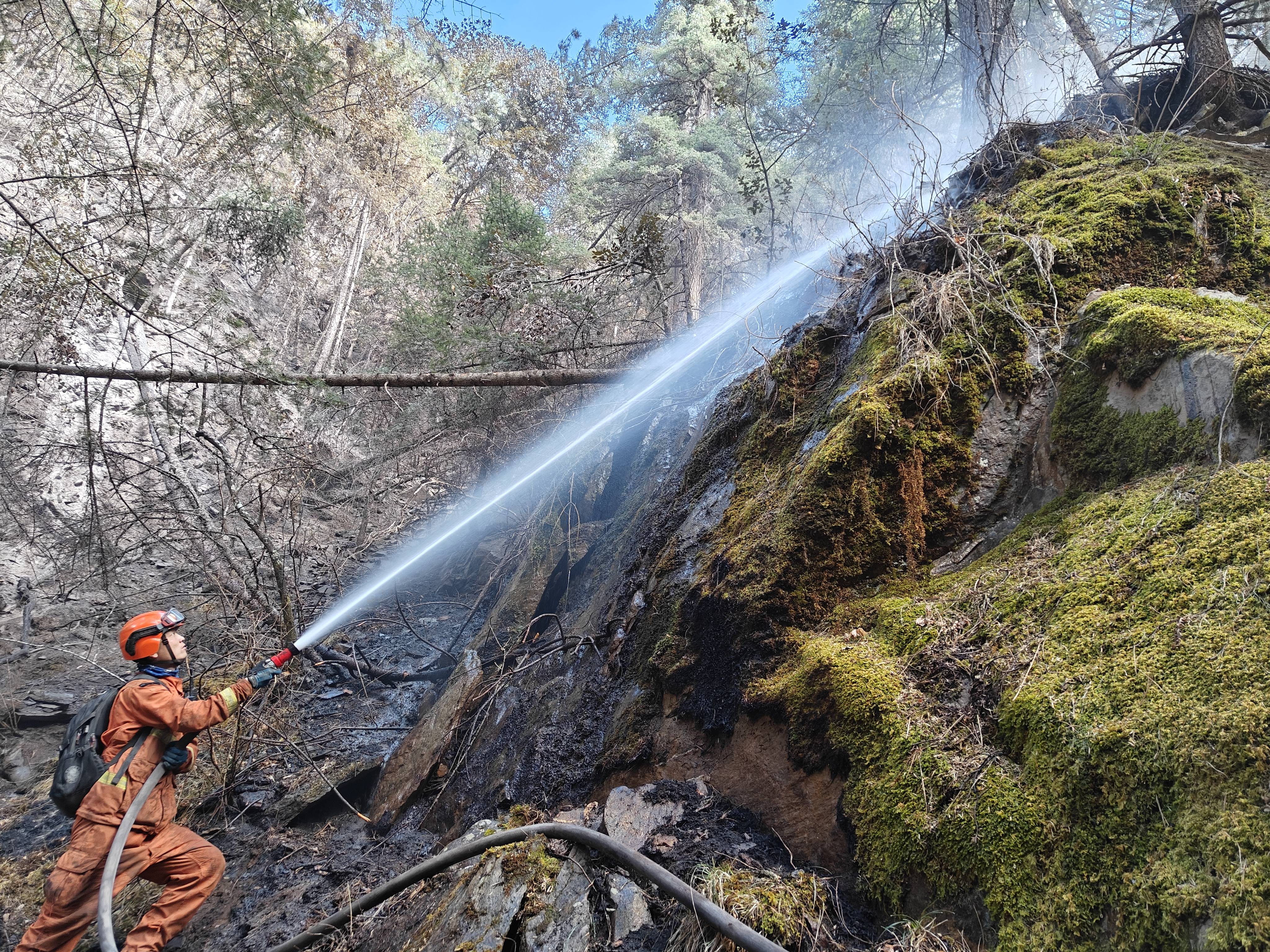 四川雅江森林火灾起火原因初步查明系施工动火作业引发