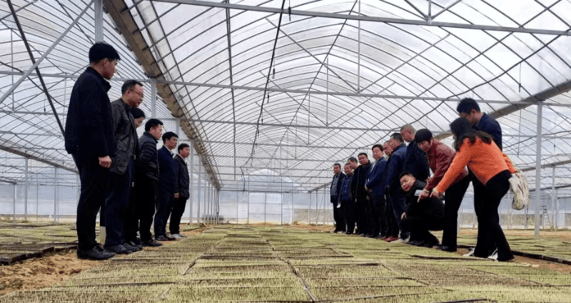 新田新隆镇人大代表田间履职助春耕