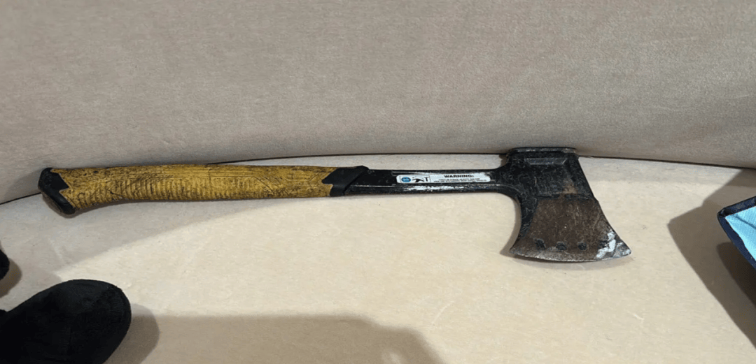 涉嫌干预选举和移民欺诈,中国亿万富豪认罪,或被驱逐出境_覃辉_竞选