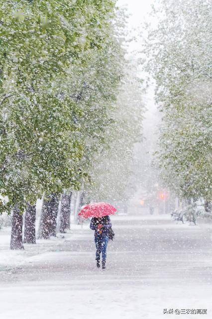 大雪转雨夹雪图片