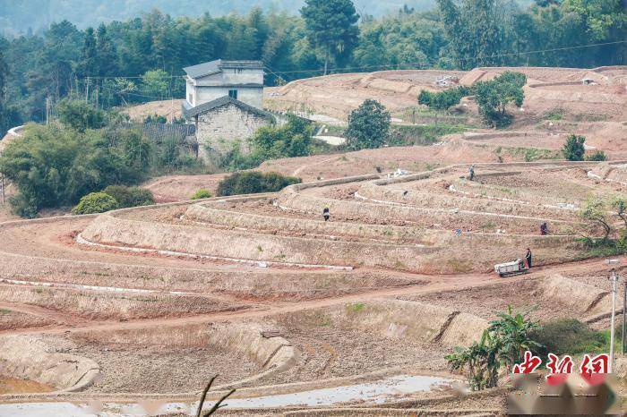 四川合江高标准农田春日美