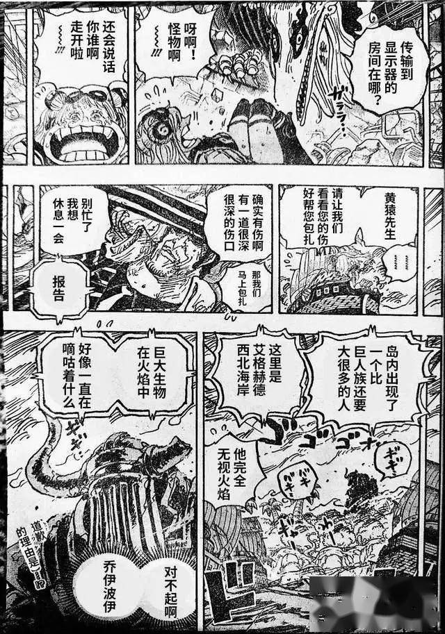 路飞_路奇_真天