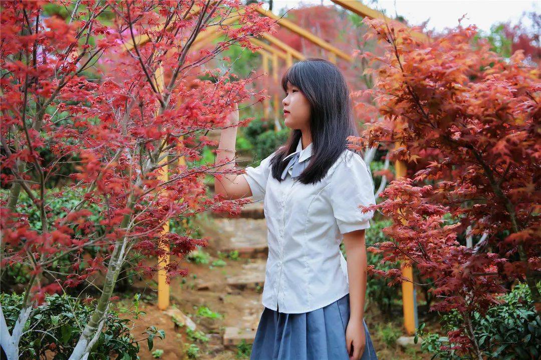 烟花三月春枫飞扬相约岭南红叶世界