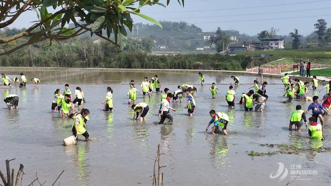 全脱产江津300余名师生体验耕读传家