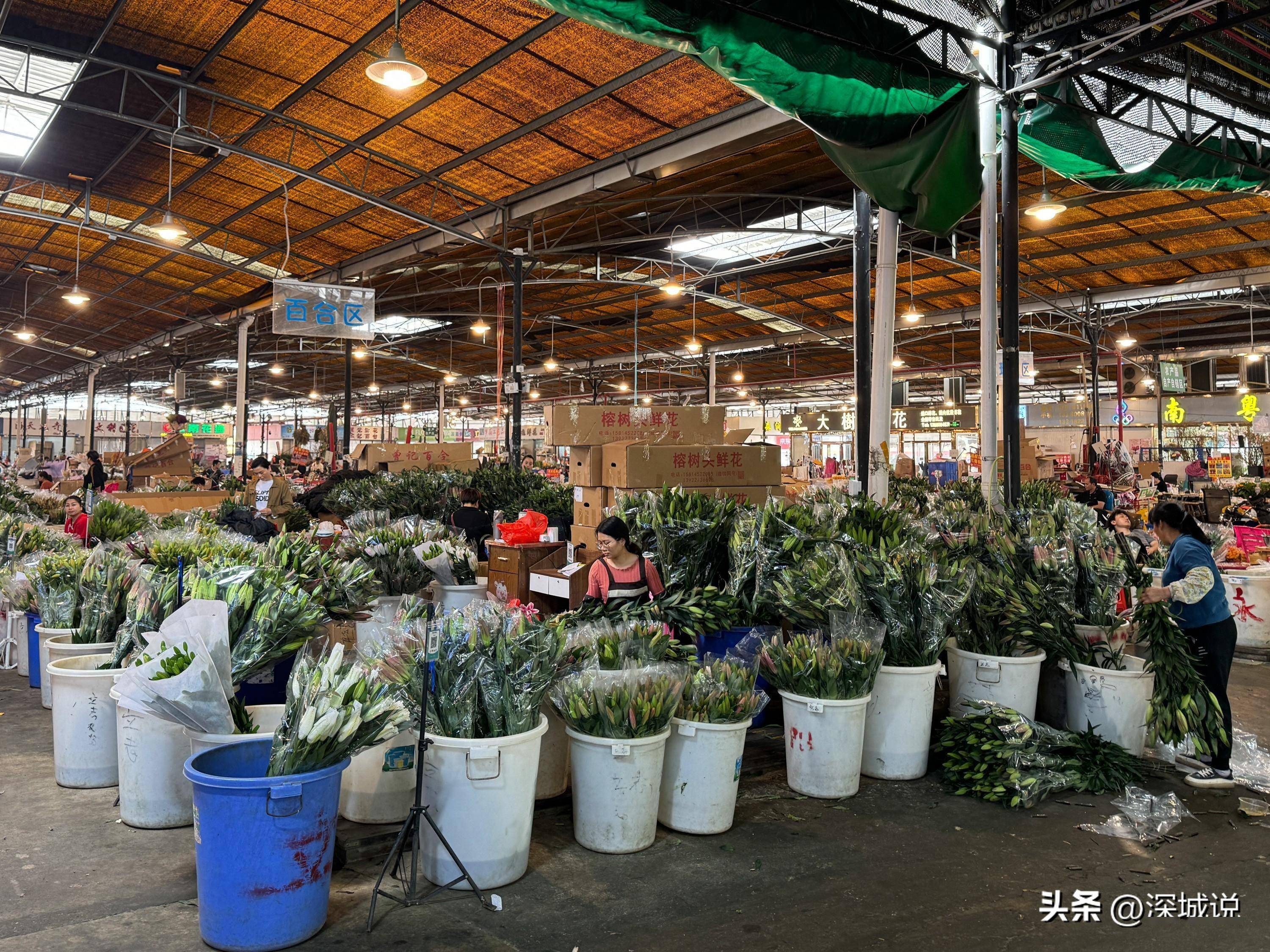 探访广州岭南花卉市场,老字号鲜花批发市场,价格是真的很划算