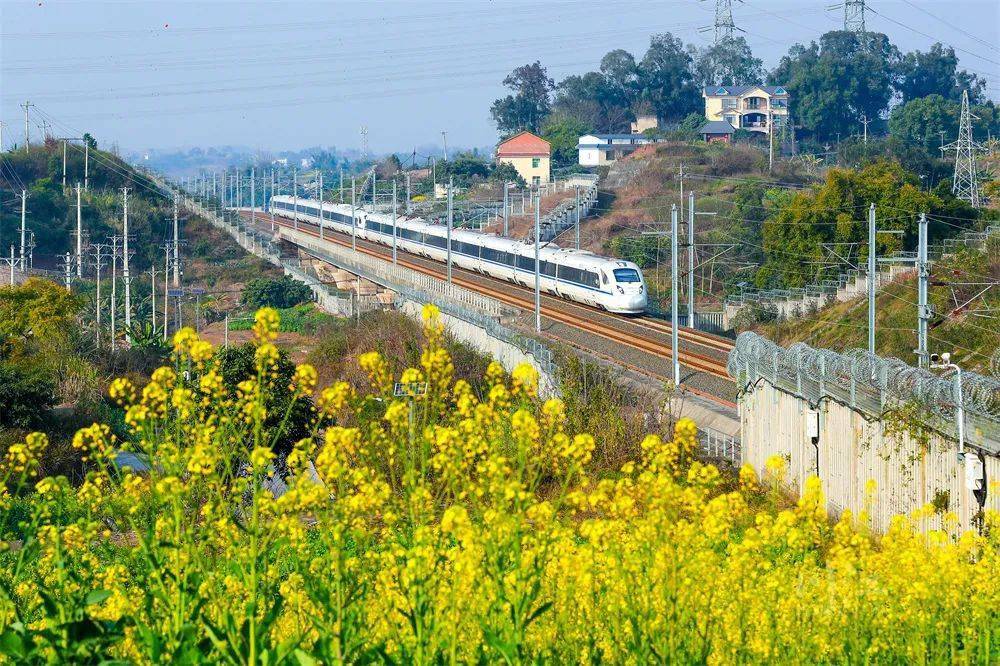 【扩散】泸州加开多趟班列,涉及成都,峨眉山方向_铁路_东至_艳萍