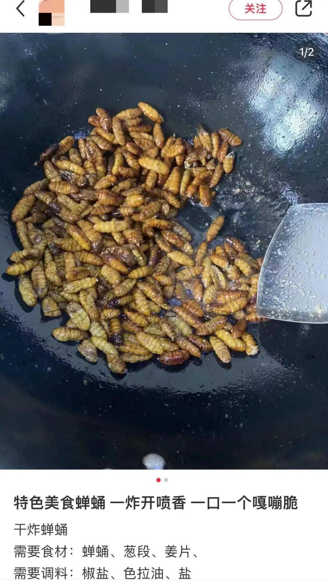 涪陵一网友外出吃饭,餐桌美食竟是伤人的虫子!_高蛋白_时候_样子