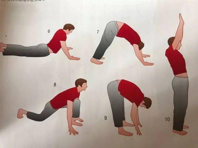 游泳_身体_技术动作